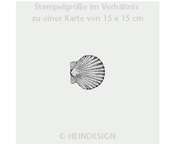 Stamp: Shells