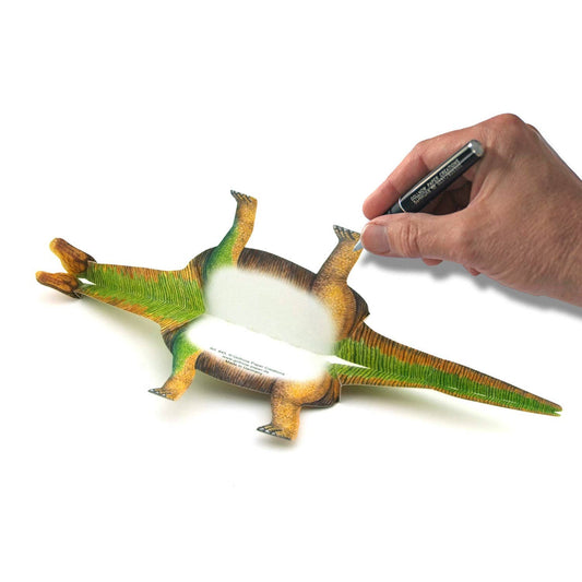 3D animal map Apatosaurus