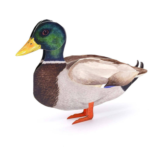 3D animal card mallard