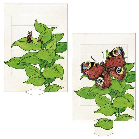 Living card “butterfly”