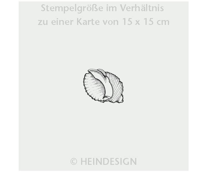 Stamp: Shells