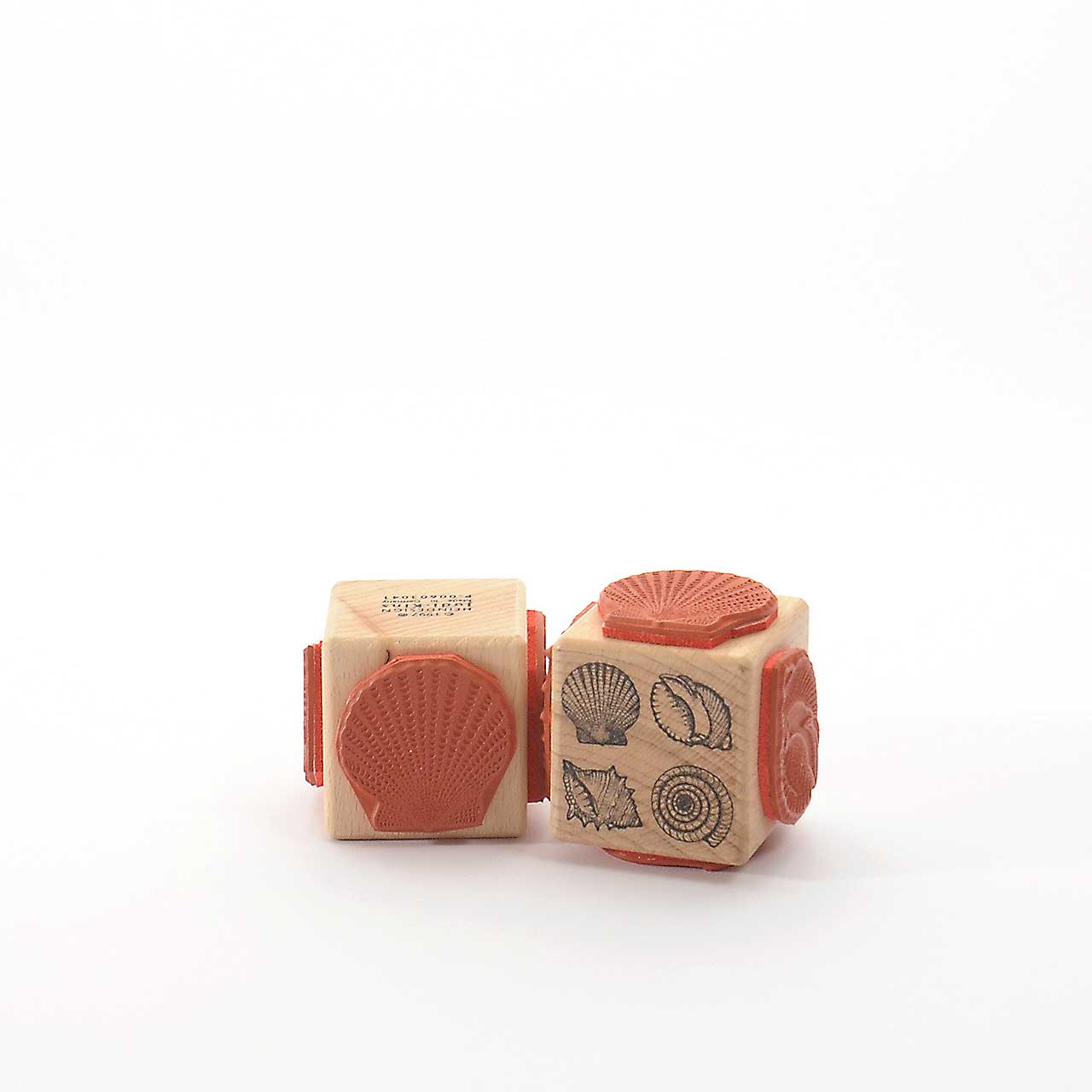 Stamp: Shells