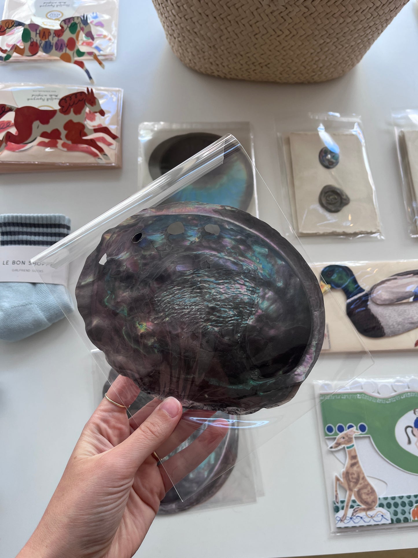 Abalone card  - Treasures by the sea