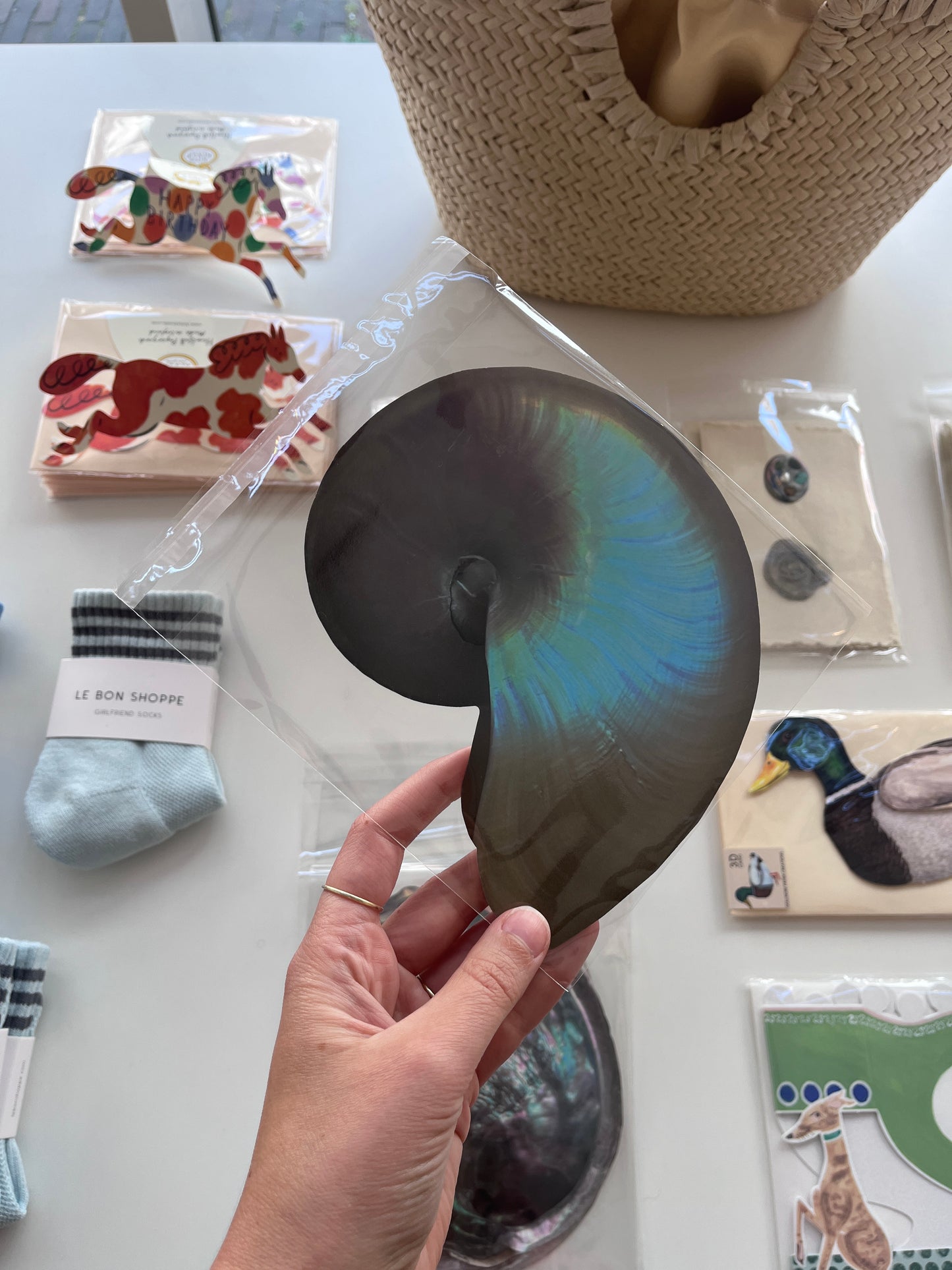 Nautilus card  - Treasures by the sea