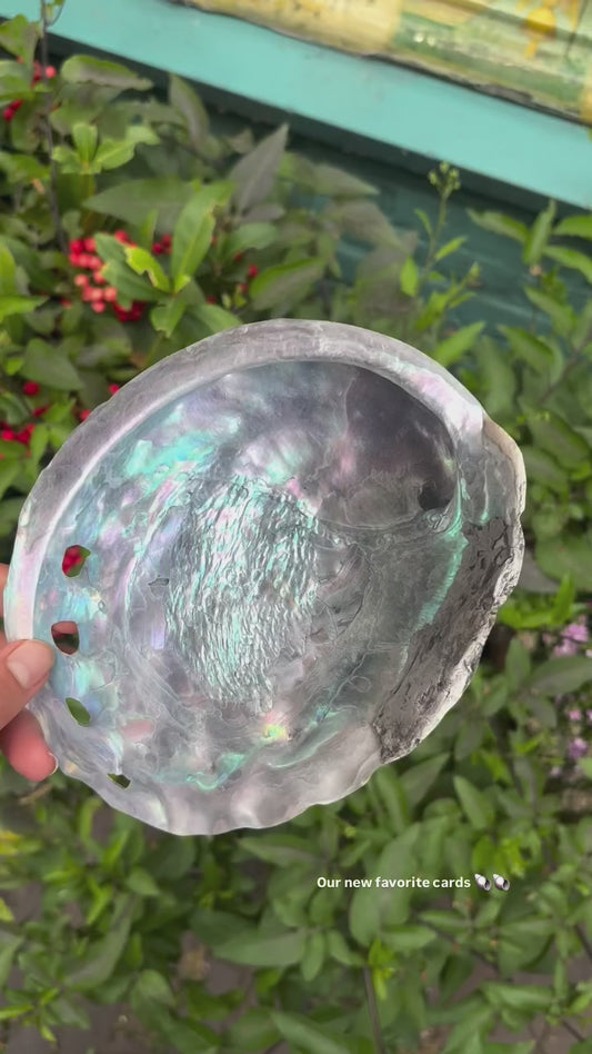 Abalone card  - Treasures by the sea